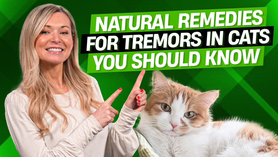 Are You Aware of These 7 Natural Remedies for Cat Tremors?