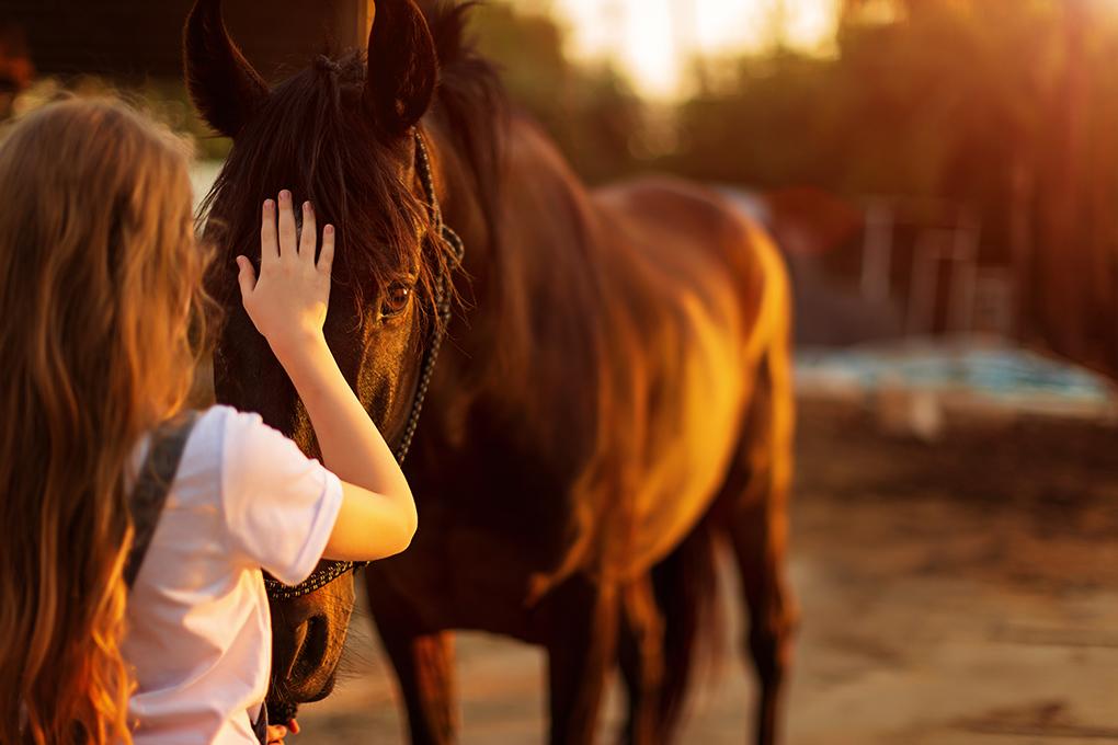 HORSE LAMINITIS: TAKING IT SERIOUSLY & TREATING IT