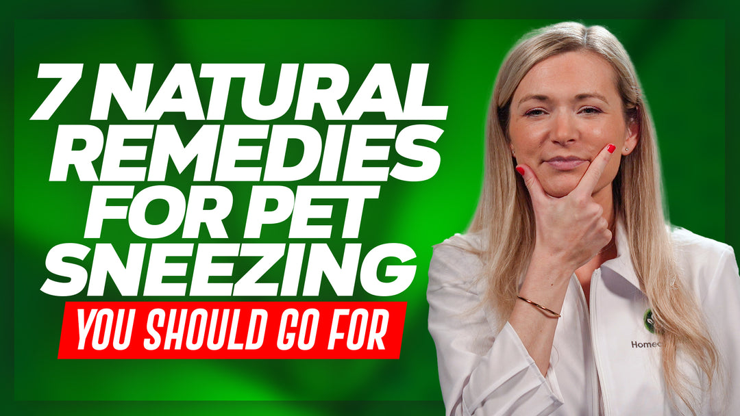 Is Your Pet Sneezing Constantly? Here are 7 Natural Remedies to Consider!