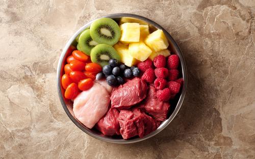 10 Benefits of a Raw Dog Food Diet - raw meat and vegetables on top