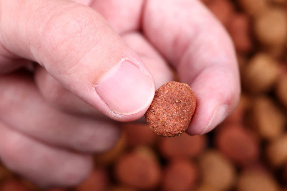 person holding a piece of kibble