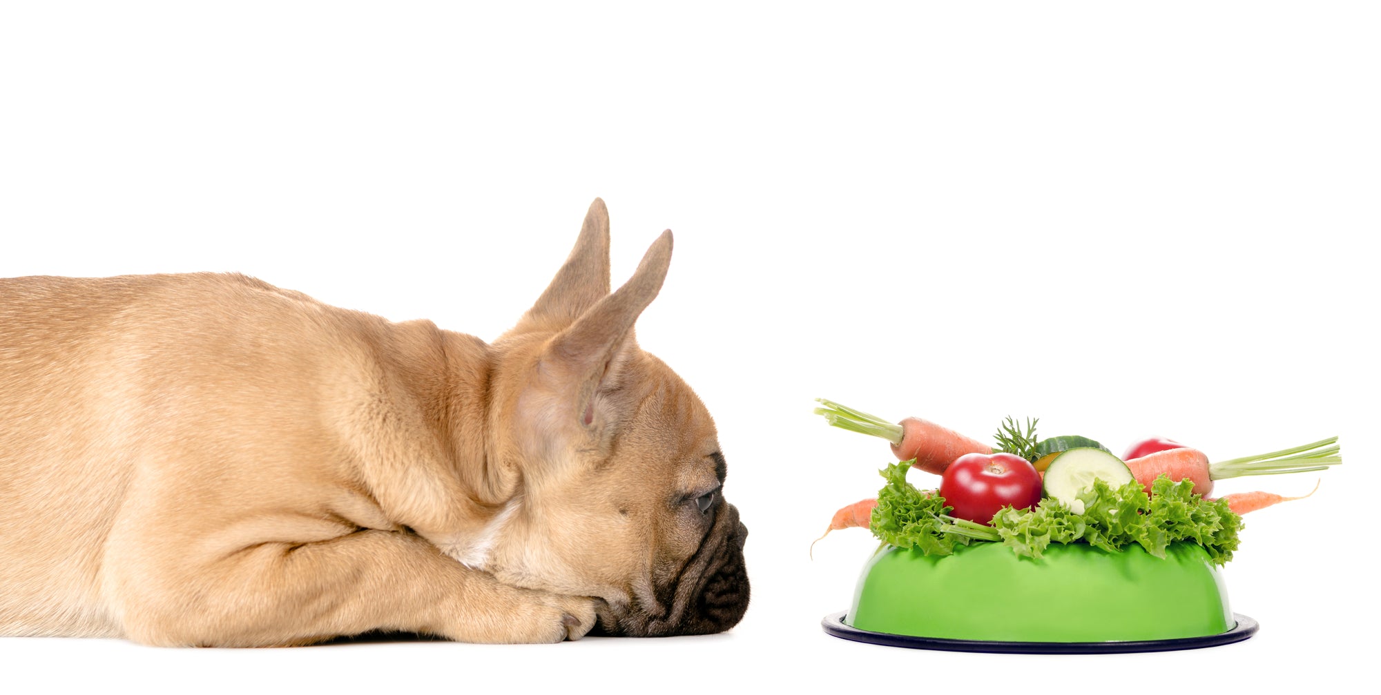 Cancer in Dogs: 5 Vegetables That Help Prevent this Disease