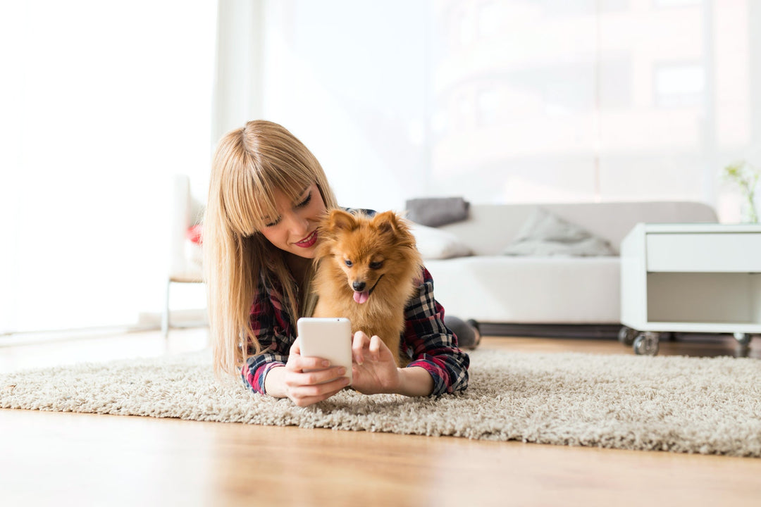 How To Find The Right Animal Nutritionist For You & Your Pet