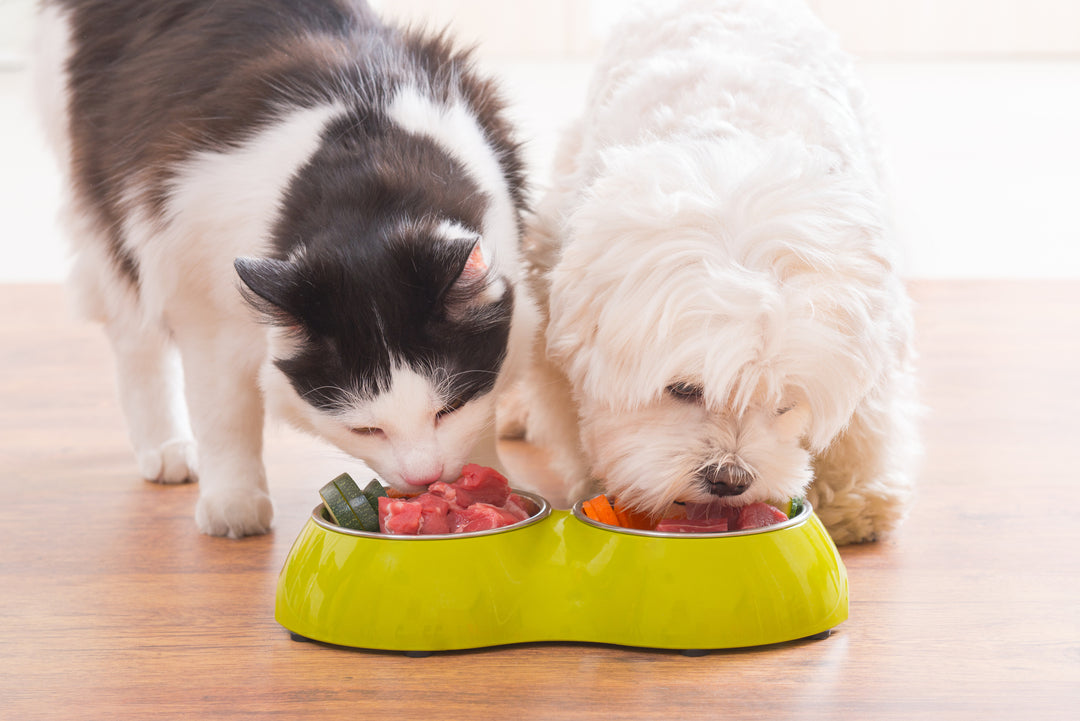 How To Make The Best Dietary Decisions For Your Pets