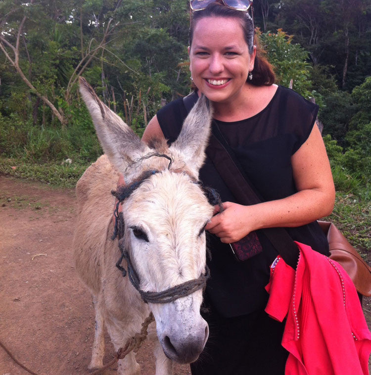 Animal Life in Honduras: Wild Beauty Beyond the Beaches