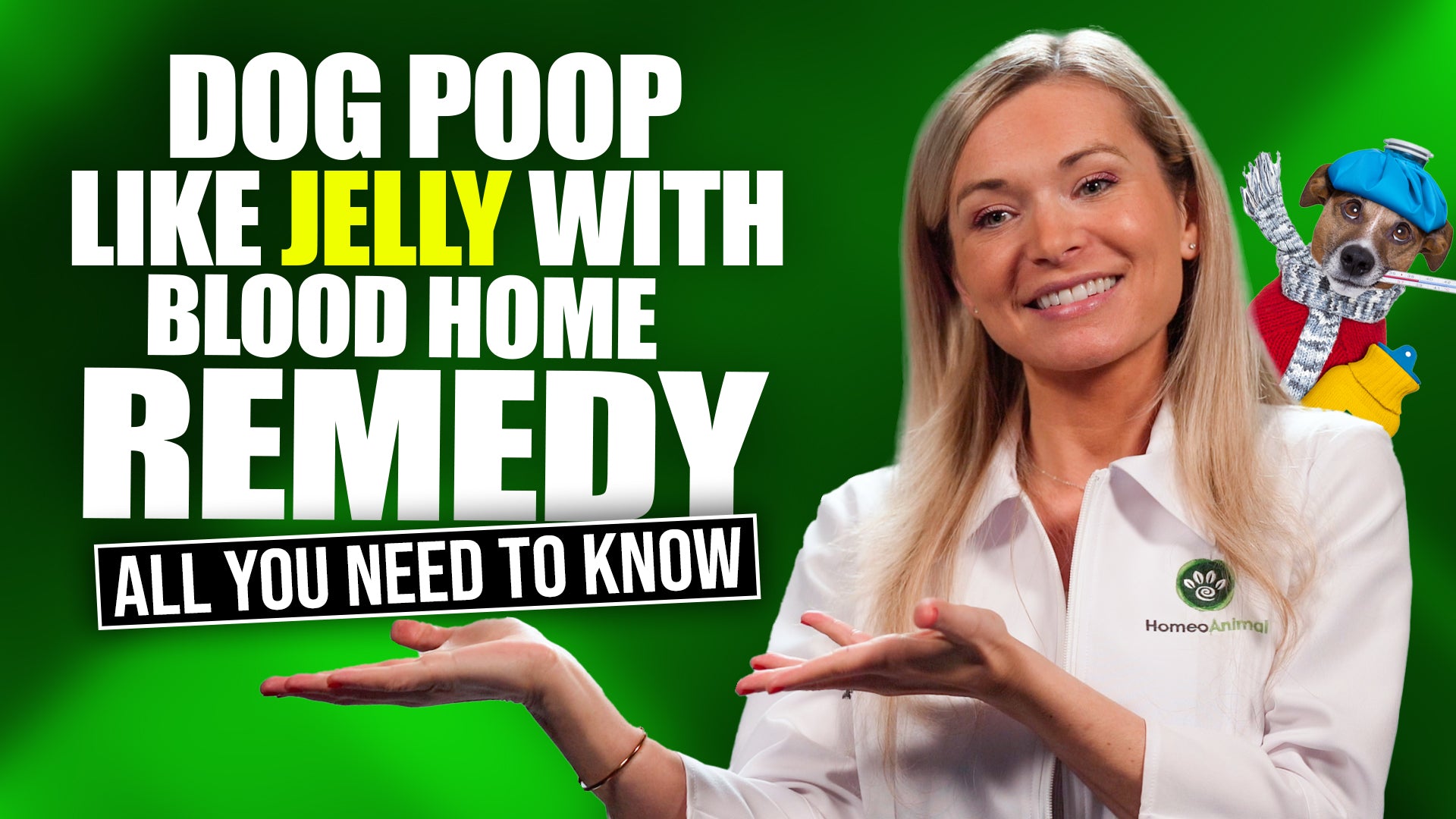 Dog Poop Like Jelly With Blood Home Remedy | 5 NATURAL Ways to Do It Properly