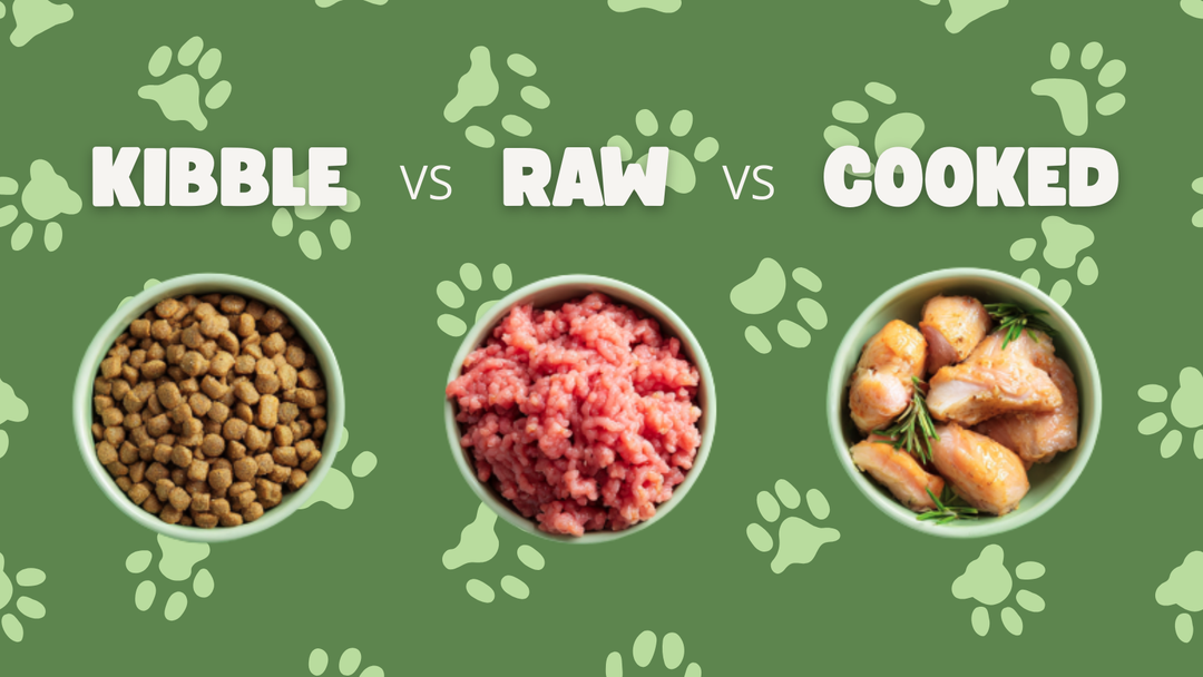 Kibble vs Raw vs Cooked