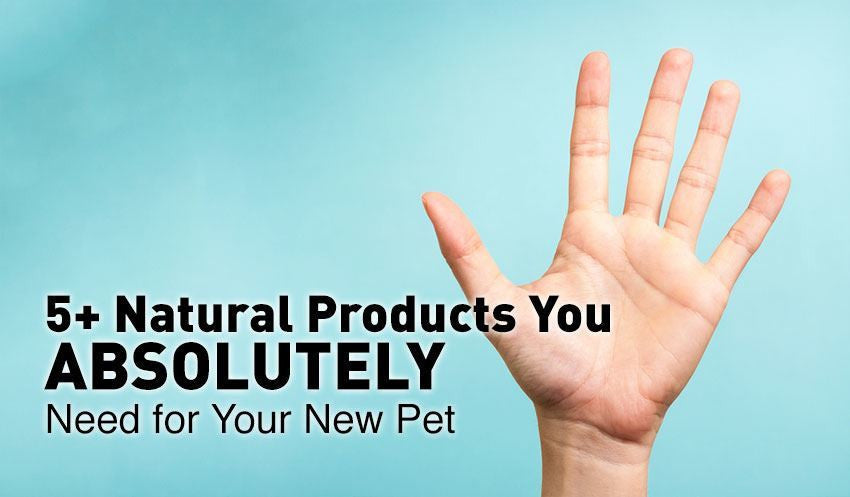 5+ Natural Products You ABSOLUTELY Need for Your New Pet