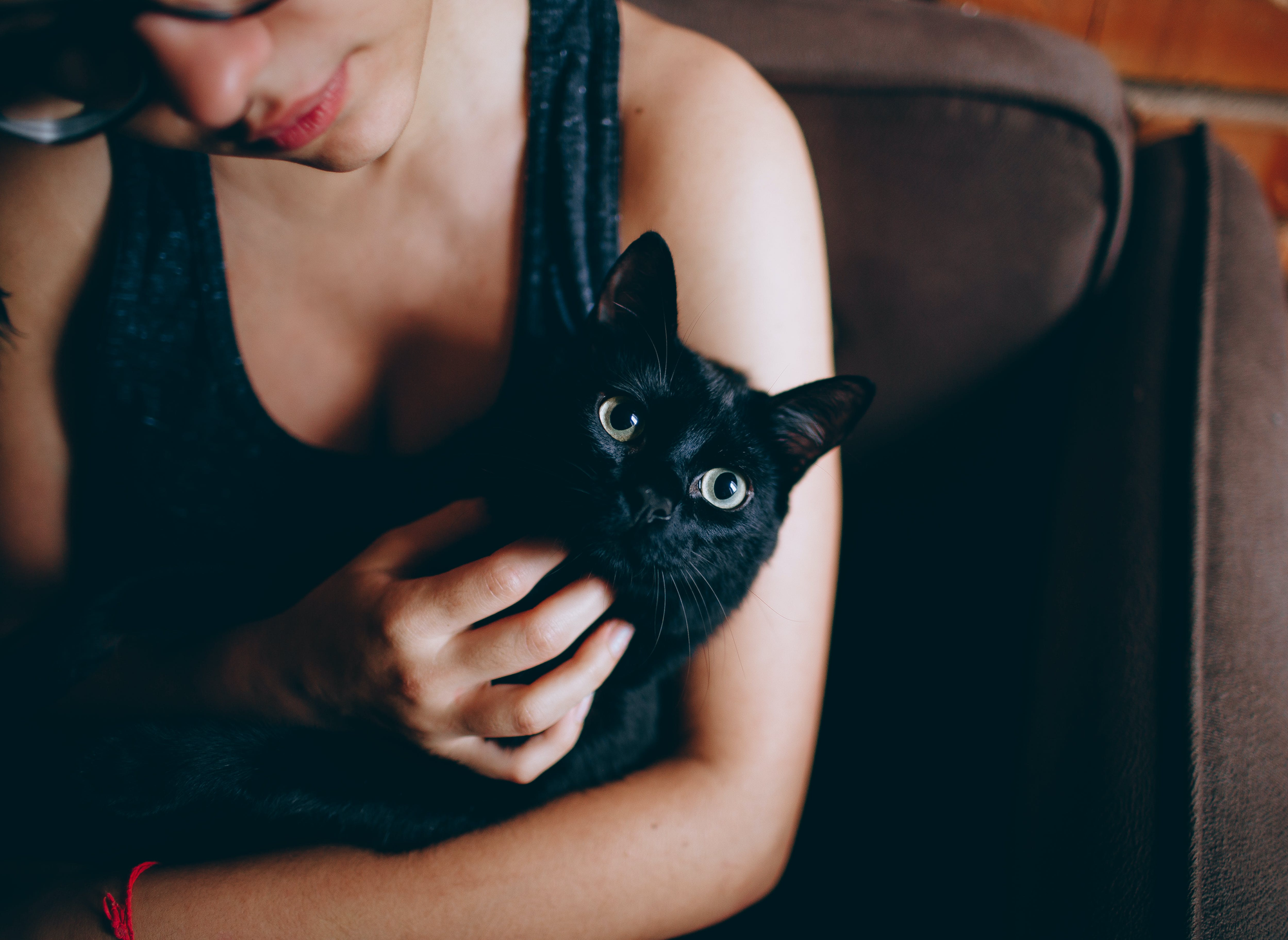 furmom petting her black cat