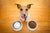 Raw, Cooked, Or Kibble … What’s The Best Food For My Pet?