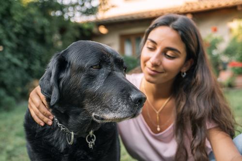 Senior Labrador Diet - A young woman petting an old black Labrador dog in the garden