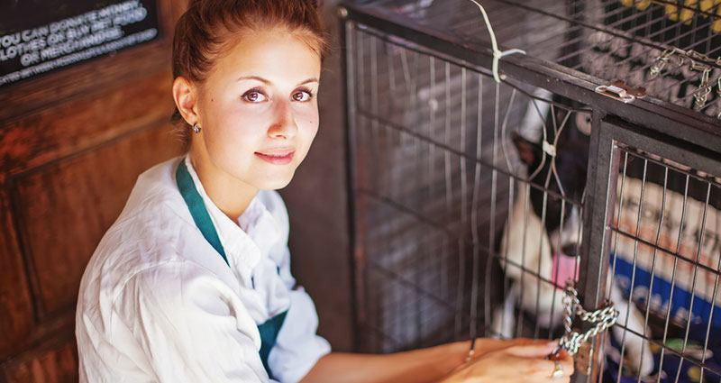 The Ultimate Guide To Pet Adoption: The Adoption Process 2023
