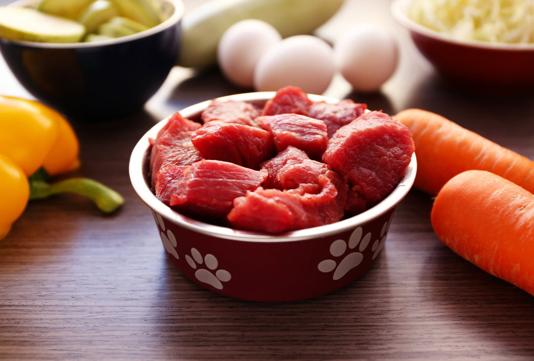 The Best Foods & Supplements For These 10 Common Pet Health Issues