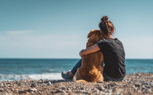 Top 10 Essential Facts About Dogs That Can Sniff Cancer -  a woman sitting on the beach with her dog
