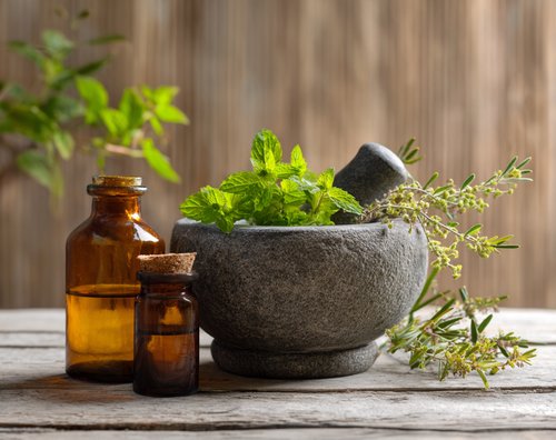 Top 5 Vet-Approved Natural Cancer Treatments for Cats - an ornamental gray stone mortar and pestle with herbs