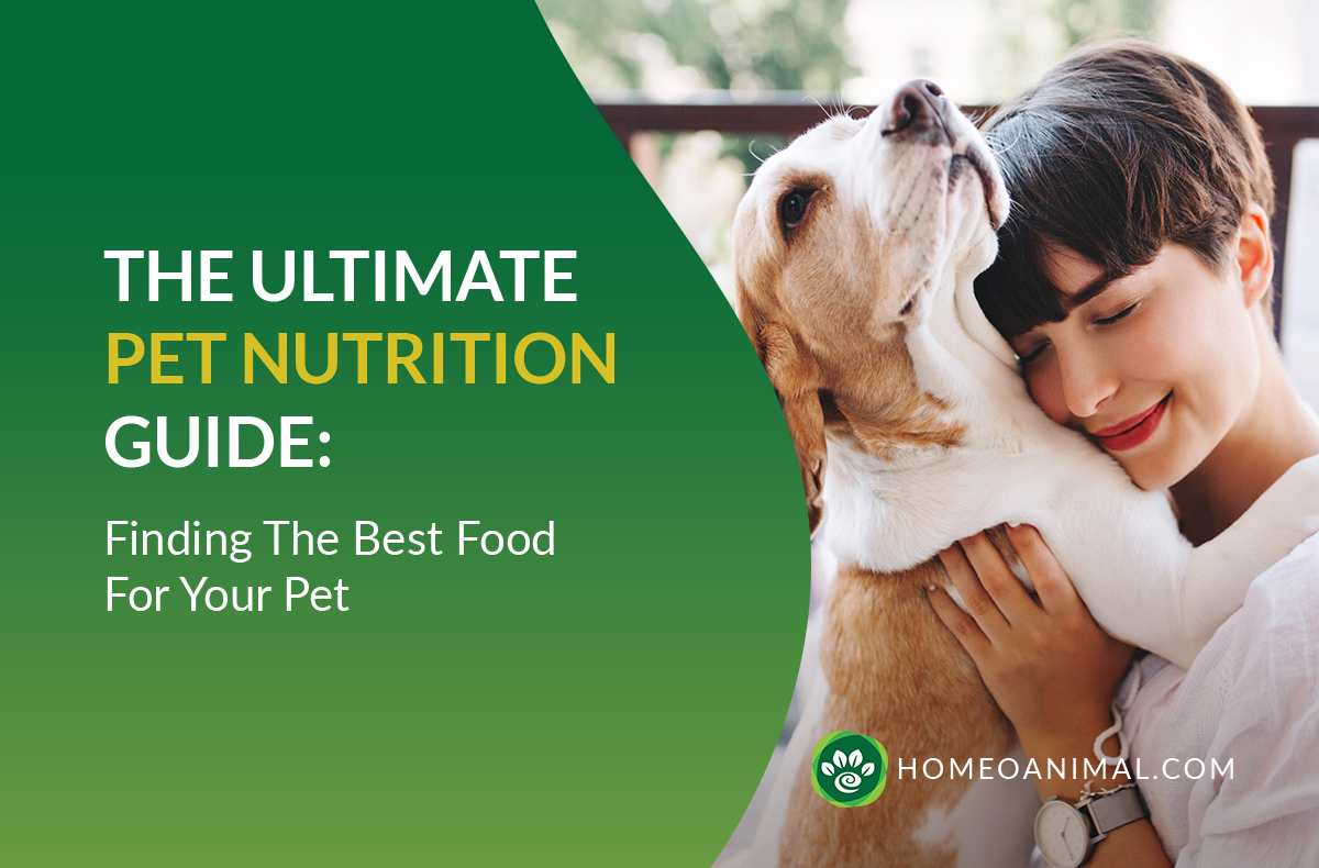 The Ultimate Pet Nutrition Guide : Finding The Best Food For Your Pet