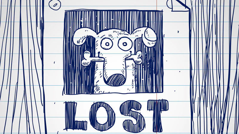 Photo of a lost dog.