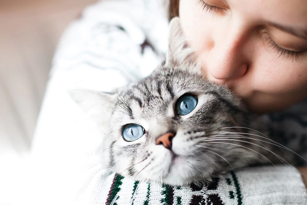Woman kissing her cat.