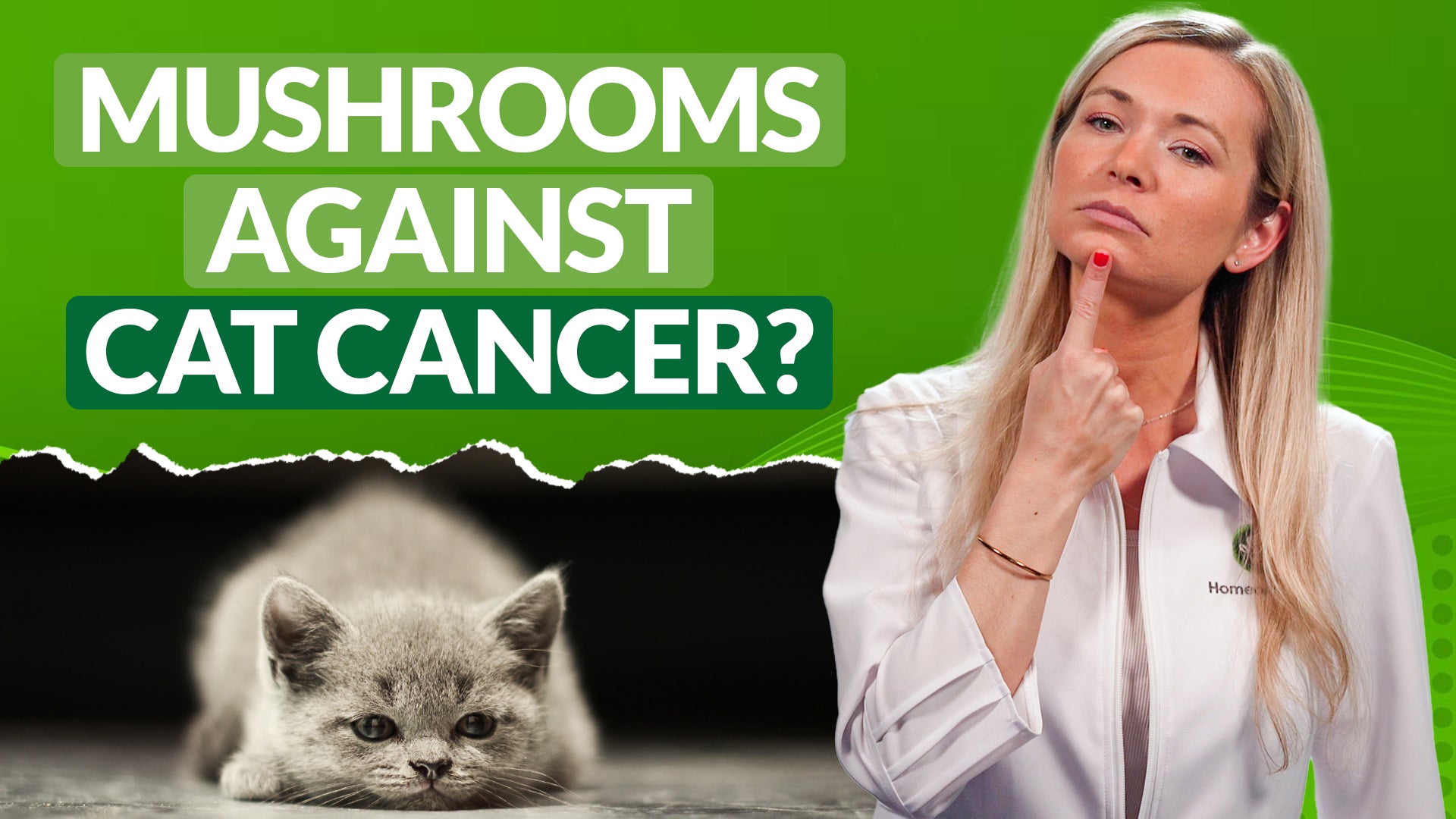 Science Experts Recommend These NATURAL Cat Cancer Remedies