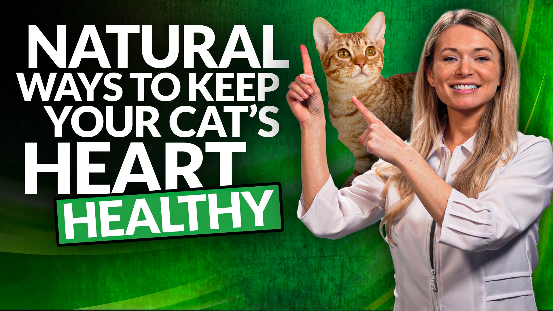 All You Need to Know About Cat Cardiovascular Health Support