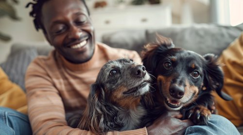dog bad breath - happy man holding two long-haired dachshunds