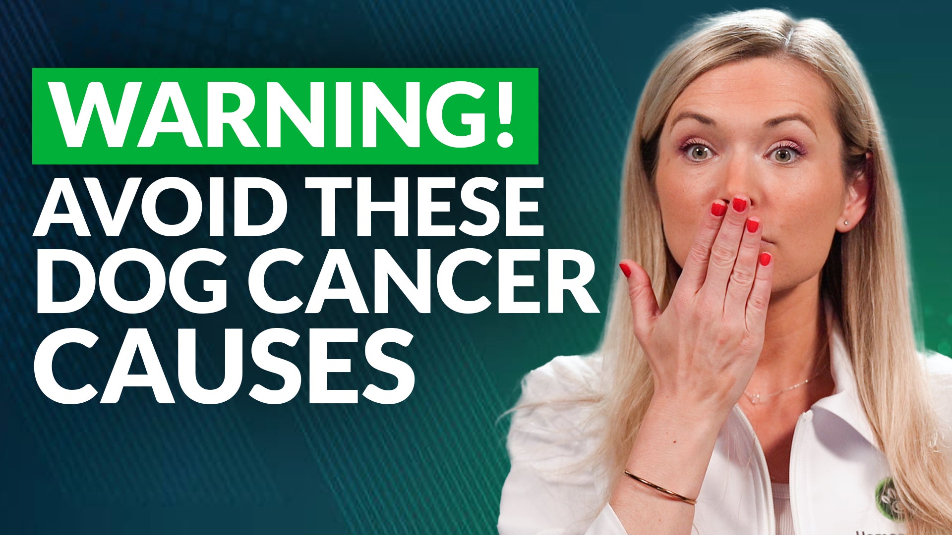 5 Common Dog Cancer Causes Pet Parents Overlook