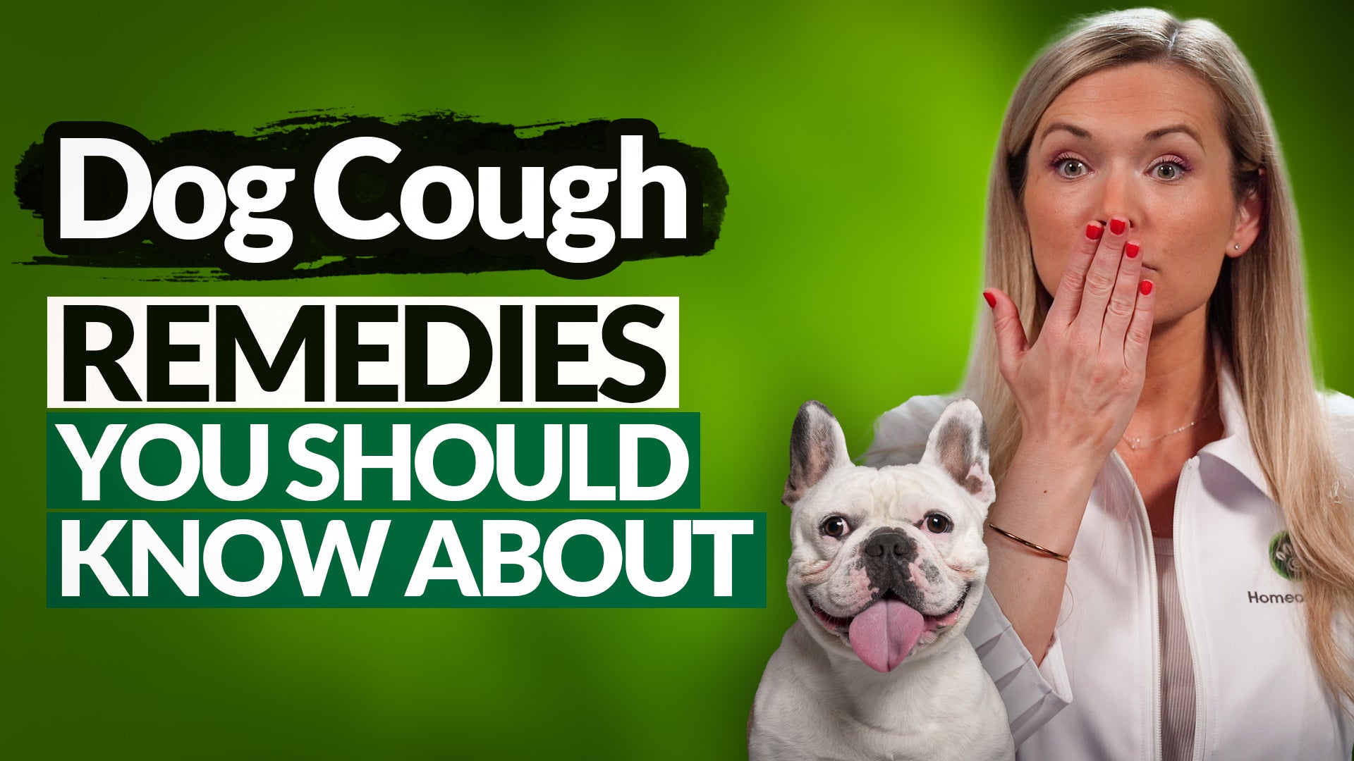 Hassle-Free And Natural Dog Home Cough Remedies - You’ve Got To Take Note Of These
