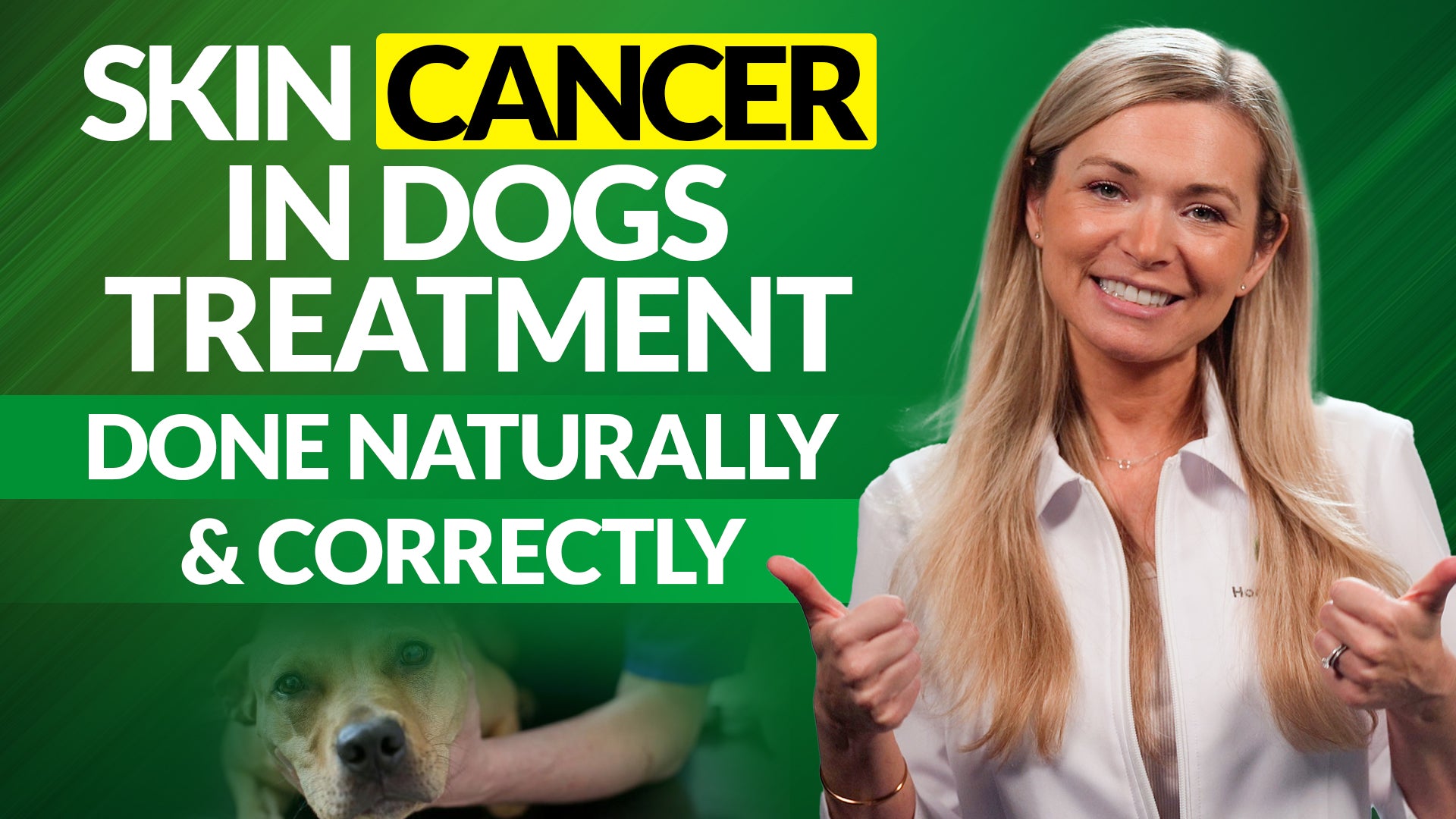 Your Quick Guide to NATURAL Dog Skin Cancer Home Remedies