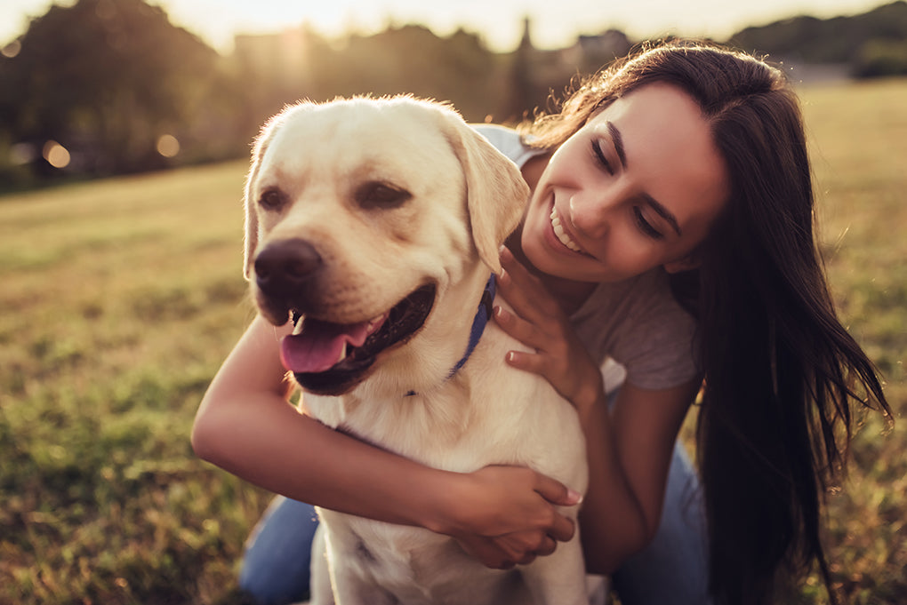 How Hiring A Professional Dog Trainer Can Change Your Life