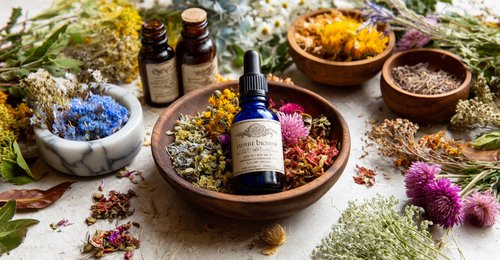 Is Homeopathy Right for Your Pet? - dried flowers herbs and spices with essential oil in wooden bowls on white background