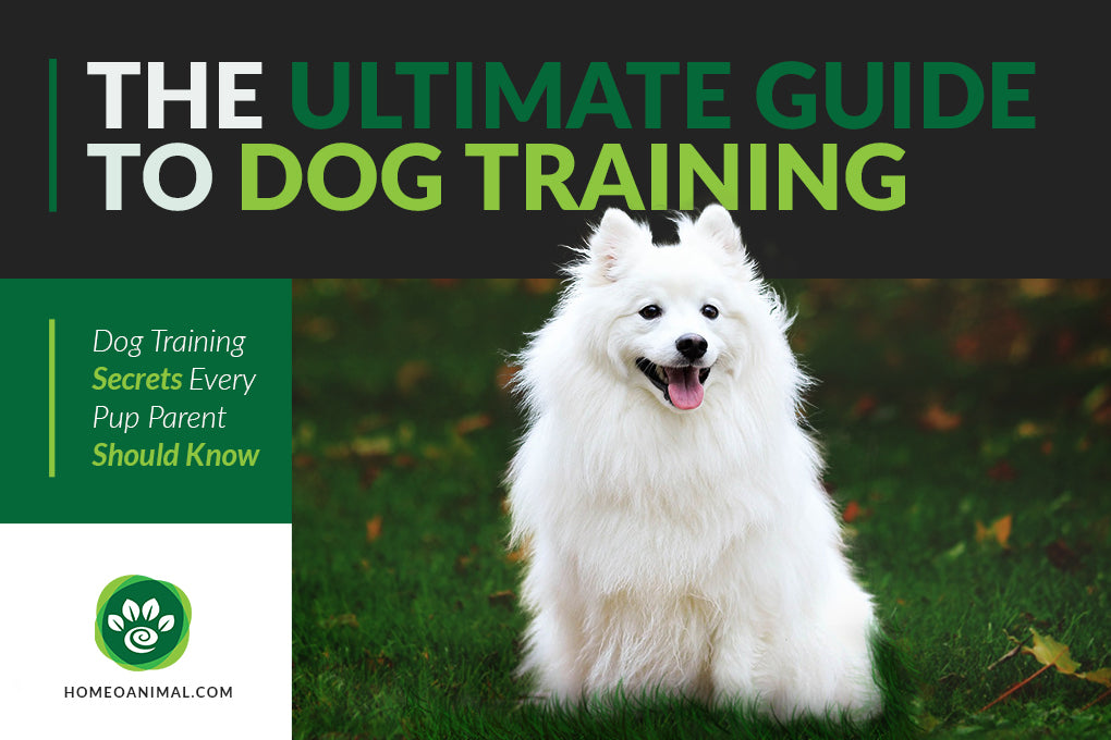 The Ultimate Guide to Dog Training: Dog Training Secrets Every Pup Parent Should Know