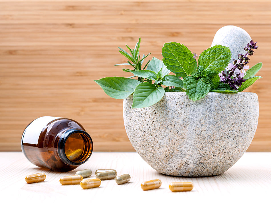 The 5 Best Holistic Cancer Treatments For Cats