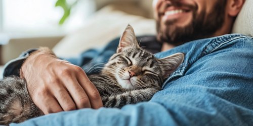how to take care of a cat - a happy man with a cat in a living room