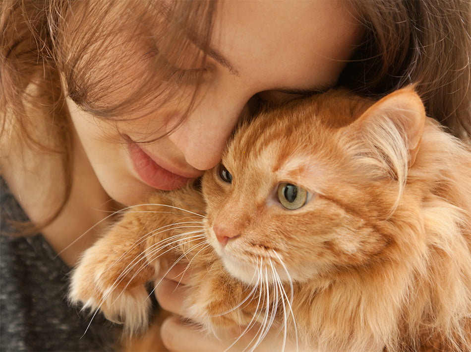 Feline Leukemia: Causes, Symptoms and Treatments