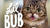 10 Lil Bub Facts You Need to Know