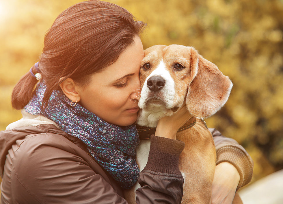 5 Things YOU NEED To Know About Pancreatic Cancer in Dogs