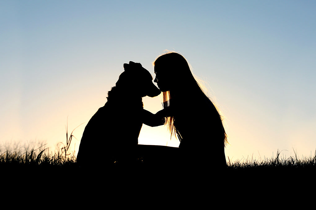 a silhouette of owner and its dog