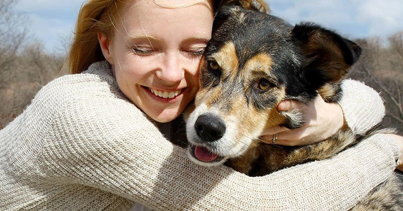 The Ultimate Guide To Pet Adoption: Sneak Preview 2023
