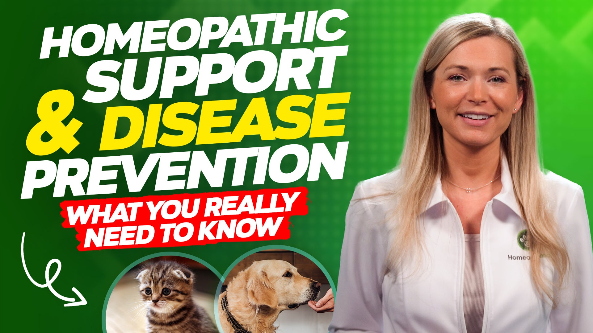 The Truth About Pet Homeopathic Support for Disease Prevention