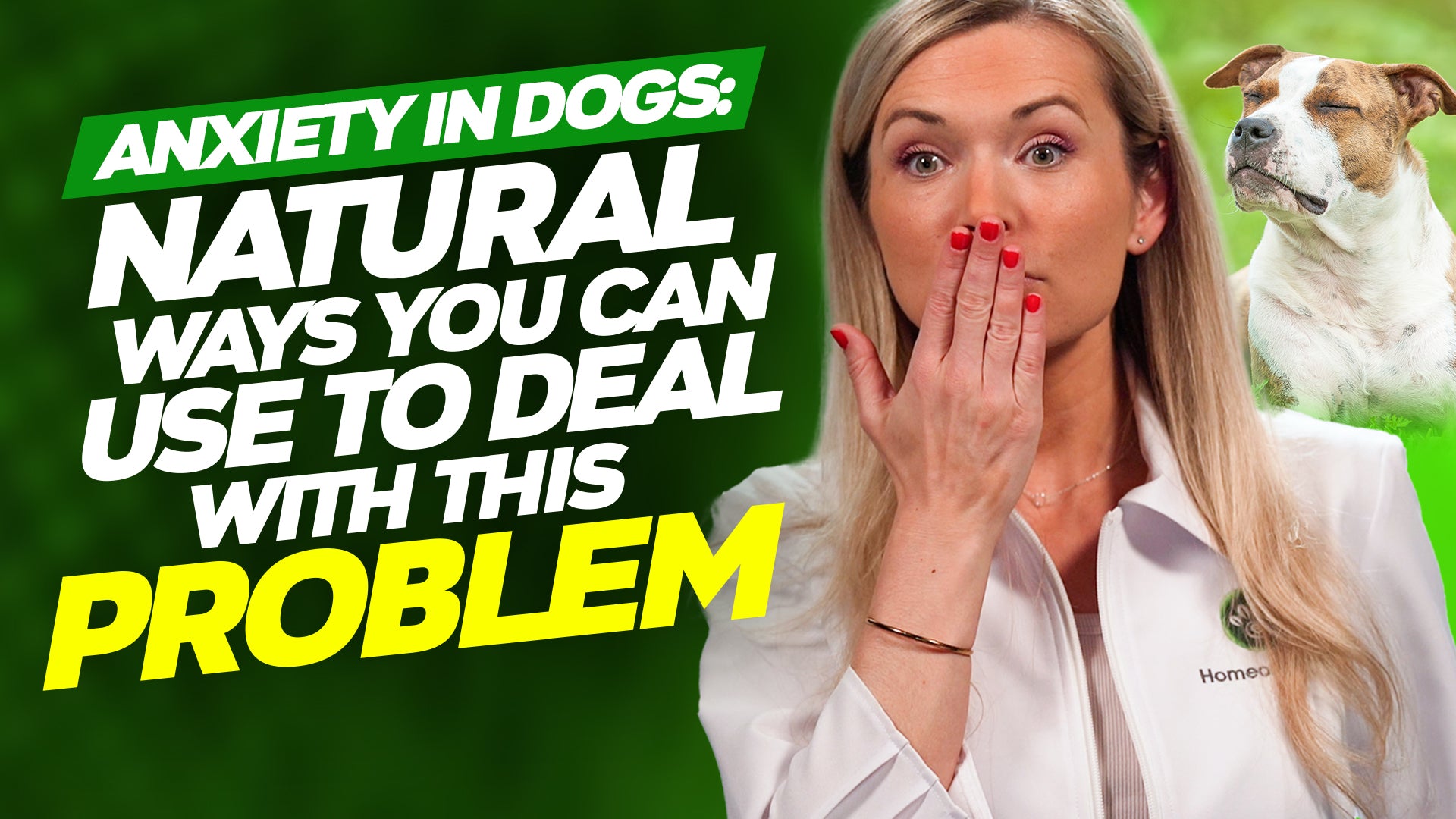 How to Calm an Anxious Dog the NATURAL Way