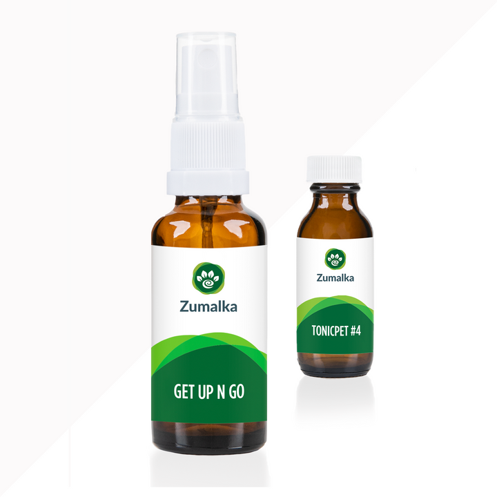 Get Up N Go - Advanced