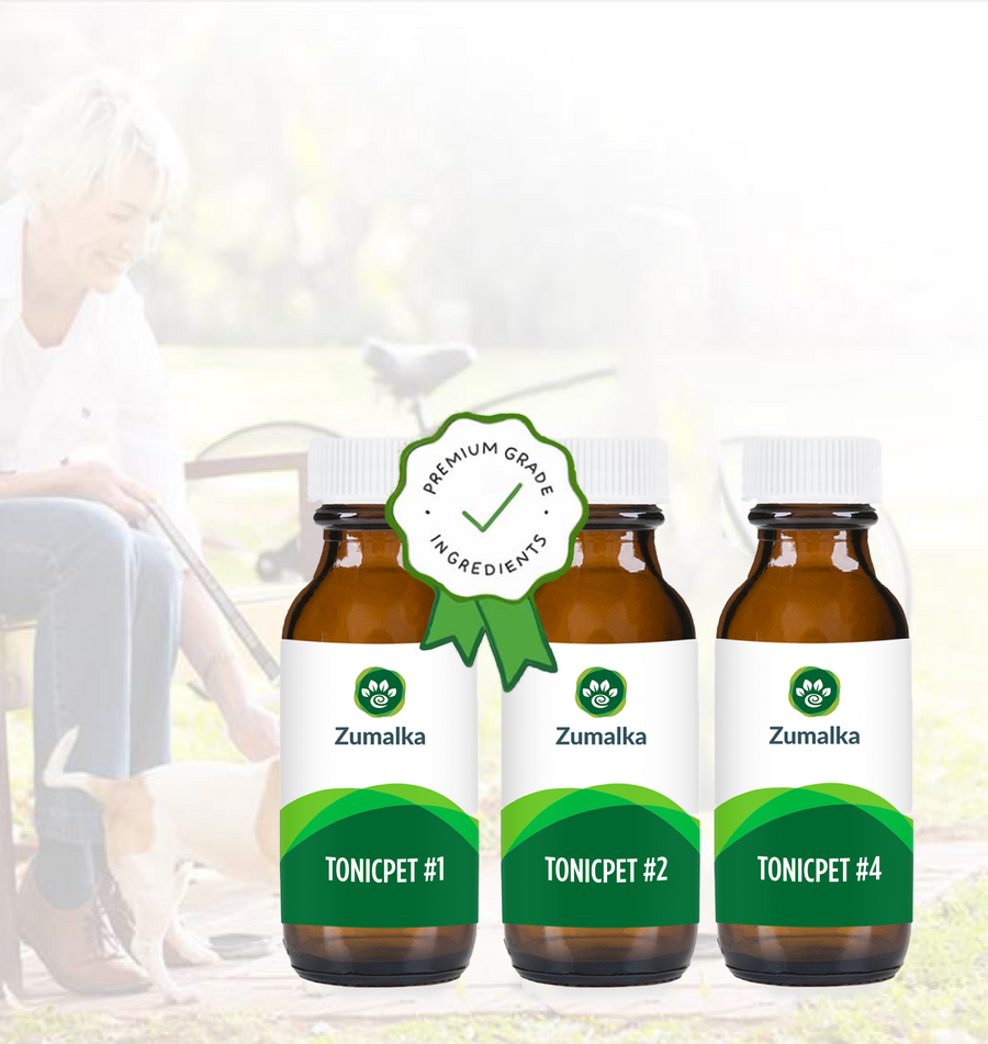 Zumalka Ultimate Get Up N Go Maximizer Pack – Natural Joint & Mobility Support for Pets