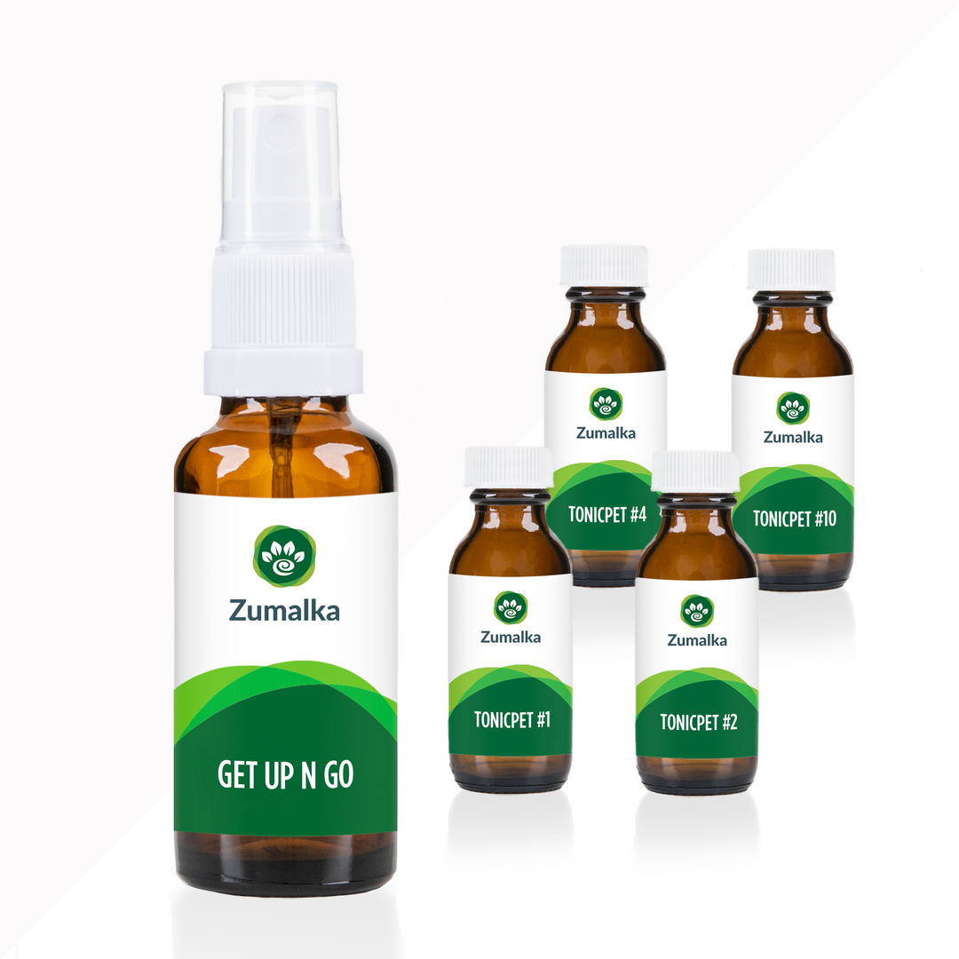 Get Up N Go - Optimal