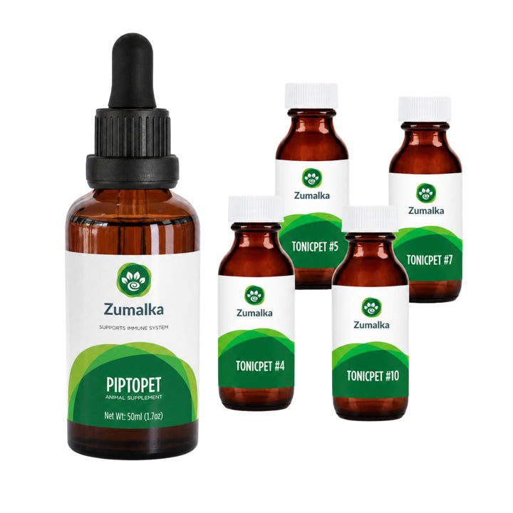 Piptopet Optimal Kit: Complete Immune Support for Pets