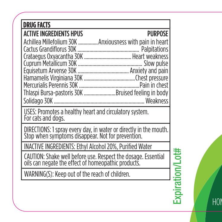 Homeopathic remedies congestive sales heart failure in dogs