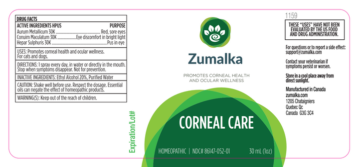 Corneal Care