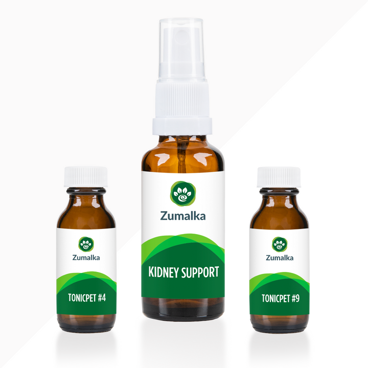 Soporte renal - Avanzado