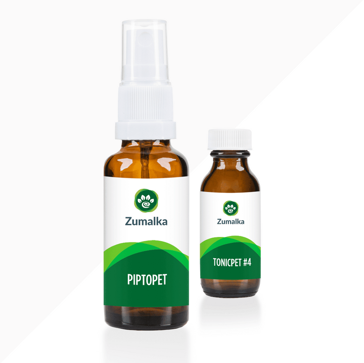 Piptopet Advanced Kit: Enhanced Immune Support for Pets