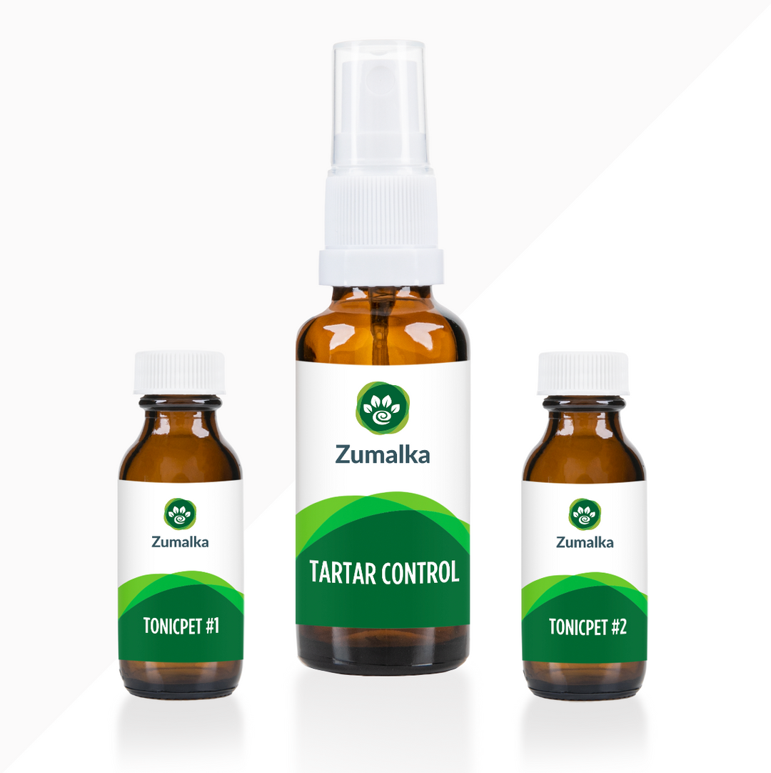 Tartar Control Advanced Kit: Complete Oral Support for Pets