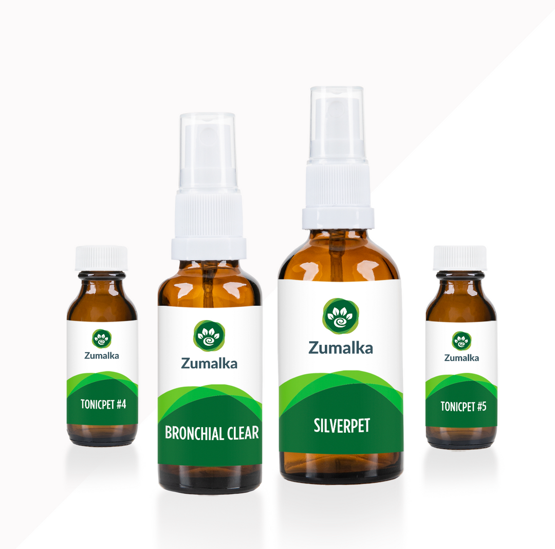 Bronchial Clear - Advanced